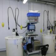 sbe 3 and 4 calibration baths